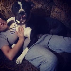 Meet your Posher, Kari